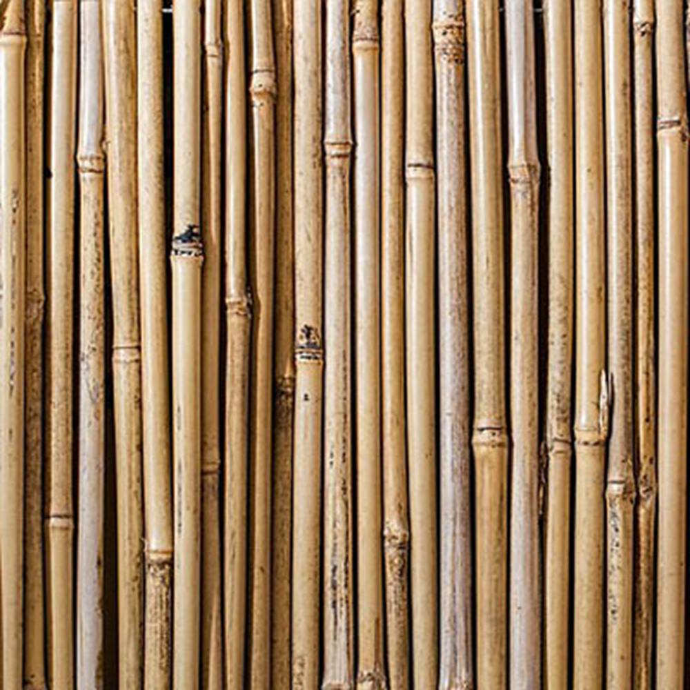 binnenkomst galerij inspanning Bamboestokken 180 cm - 5 stuks - Bouwbollen - Doe het zelf - De Wiltfan